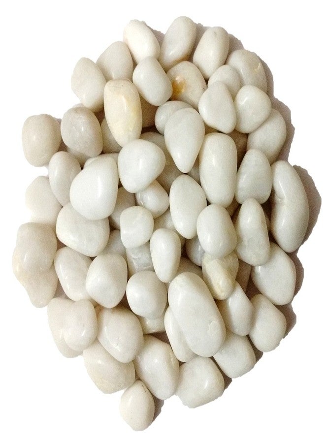 DS1 Glossy Quartz Marble Stone, Pebbles for Aquarium, Vases, Lawn, Table and Fountain (White, 475 gm) - Image 2